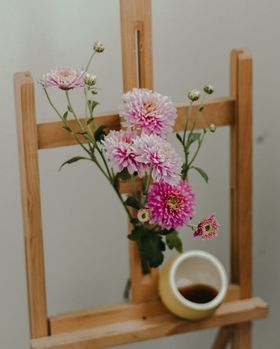 菊花绽放朵卉摄影