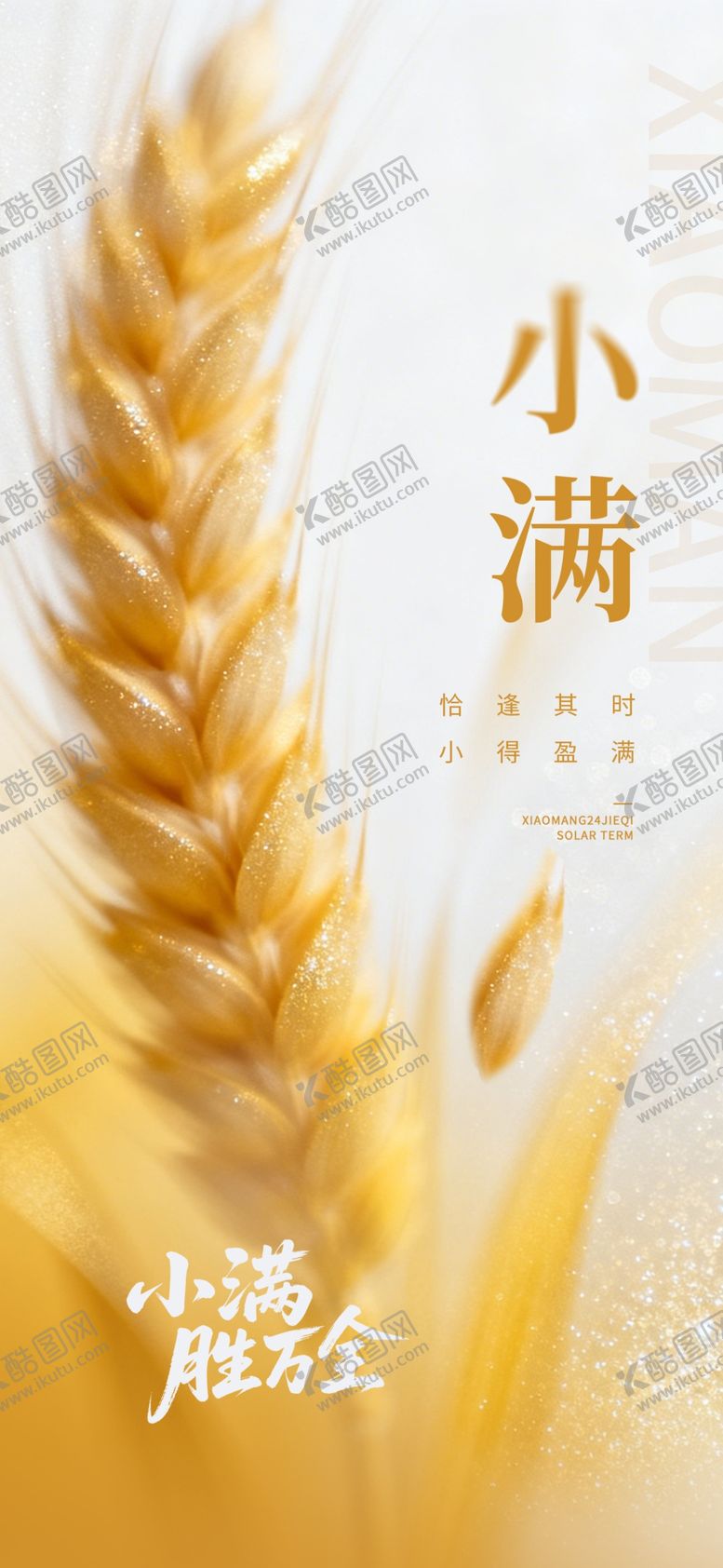 编号：35352405250249333022【酷图网】源文件下载-小满时节金黄麦穗