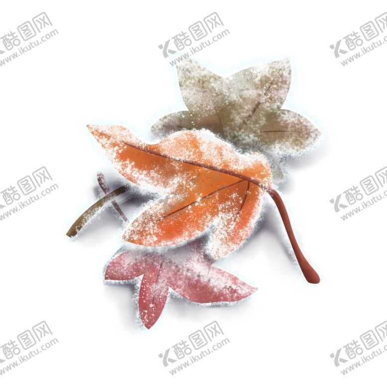编号：96457907070637113788【酷图网】源文件下载-手绘霜降三片红色枫叶树叶枯叶落