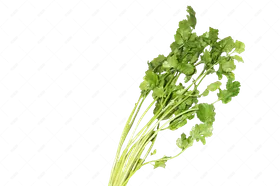 香菜