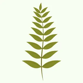 植物花叶子手绘卡通水彩