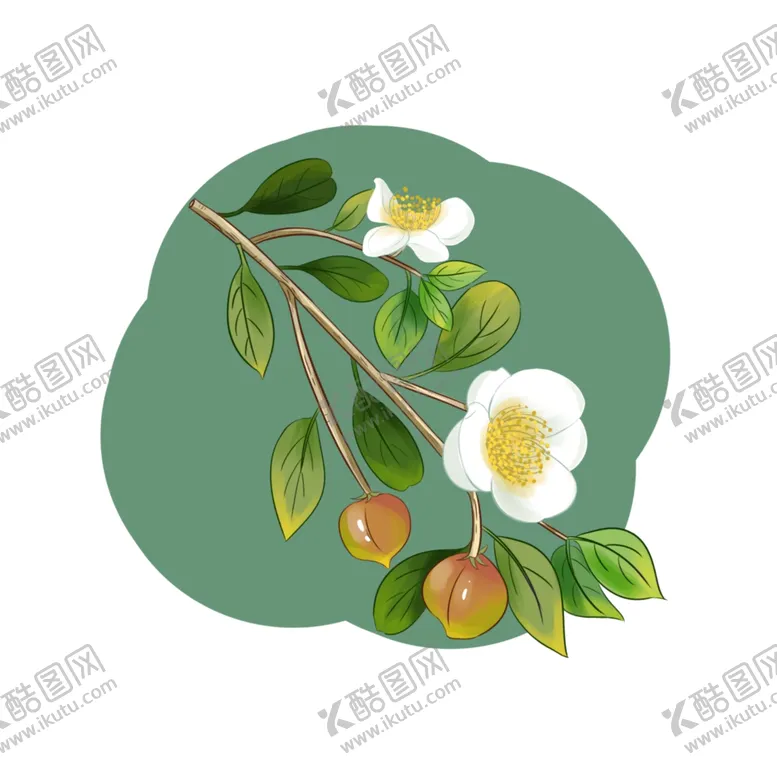 编号：13117103291550095983【酷图网】源文件下载-茶花元素