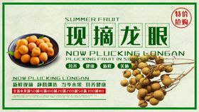 现摘水蜜桃