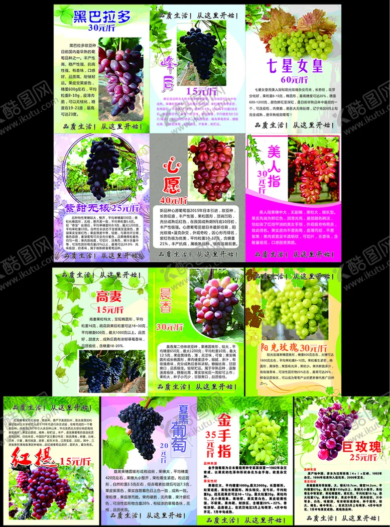 编号：55474601232329246735【酷图网】源文件下载-水果公园葡萄园