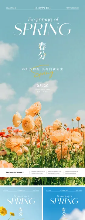 春分二十四节气海报花卉踏青天