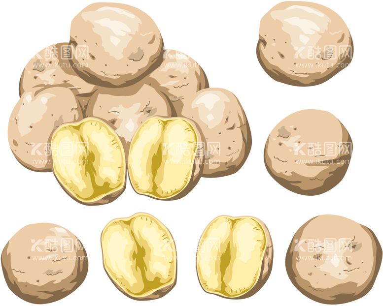 编号：89445701220229519955【酷图网】源文件下载-土豆