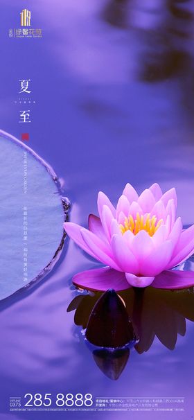 房地产项目夏至节气图推朋友圈