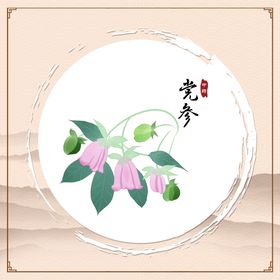 草药党参中医药材插画图片