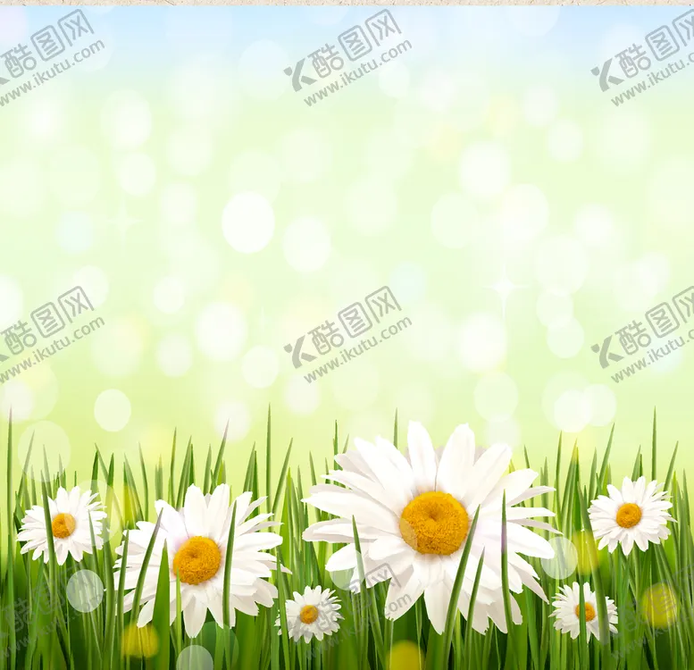 编号：50015005030735513291【酷图网】源文件下载-矢量动物矢量植物插画手绘