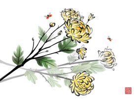 菊花素材