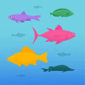 海洋生物插图动鱼类底动