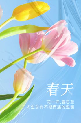 春 节气海报