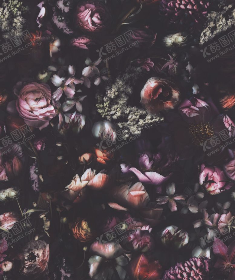 编号：22934409302230167051【酷图网】源文件下载-大牌复古花