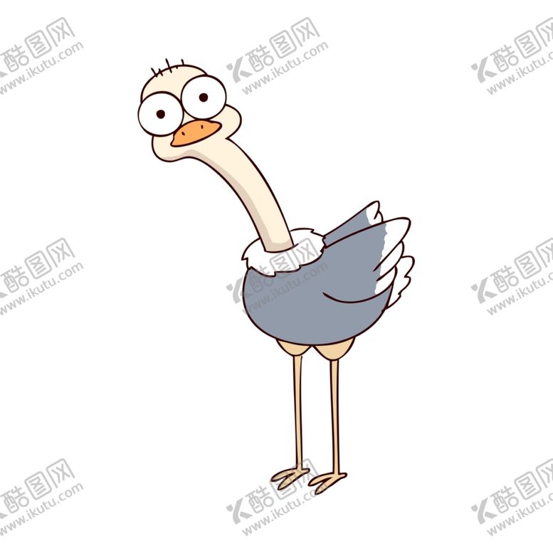 编号：93416305180720314400【酷图网】源文件下载-鸵鸟