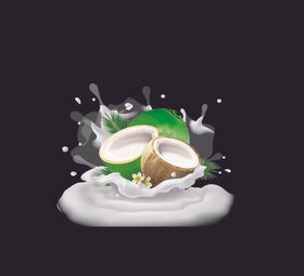 椰子