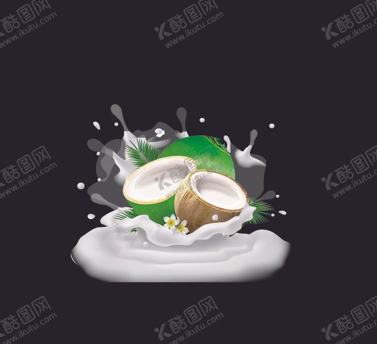 编号：37322909200108248186【酷图网】源文件下载-椰子
