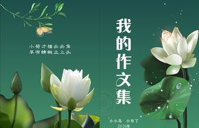 我的作文集