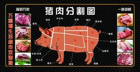 猪肉分割图