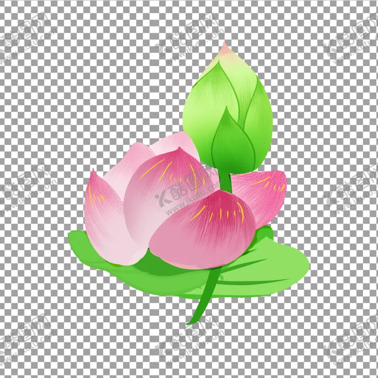 编号：25730704272242104154【酷图网】源文件下载-荷花
