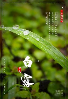 白露
