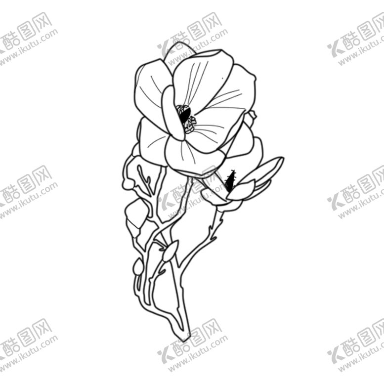 编号：64239010040718442109【酷图网】源文件下载-花朵
