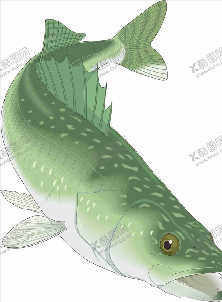 编号：93003510101719599990【酷图网】源文件下载-壁虎鱼