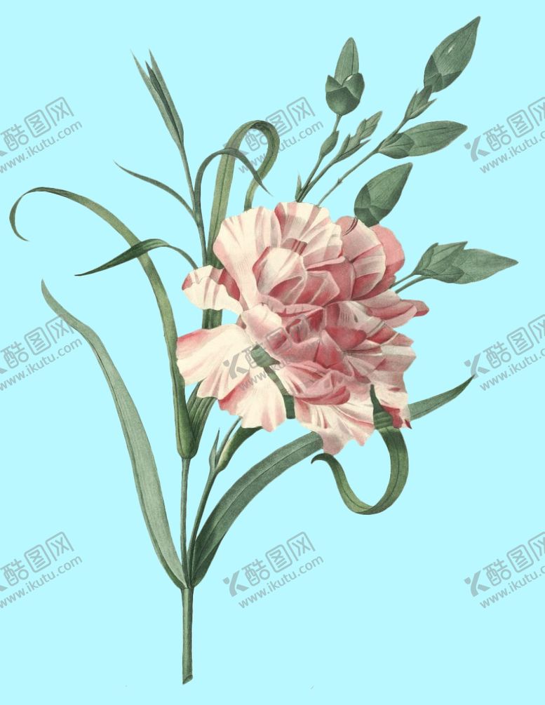 编号：56828809161608266487【酷图网】源文件下载-手绘花