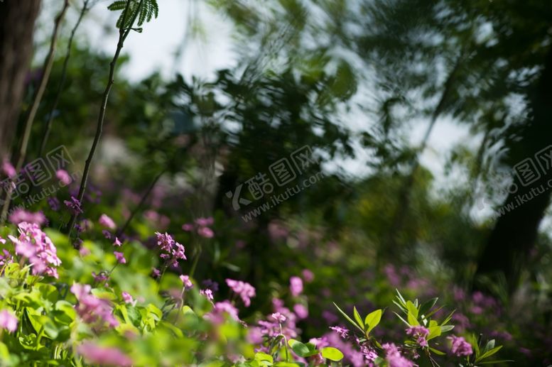 编号：79030410060448568715【酷图网】源文件下载-风景照