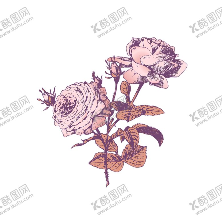 编号：70135105091910009412【酷图网】源文件下载-鲜花素材