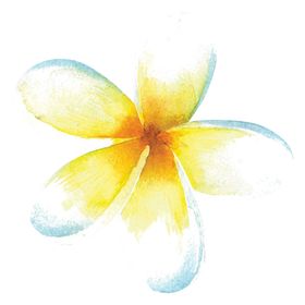 清新水彩植物花朵插画