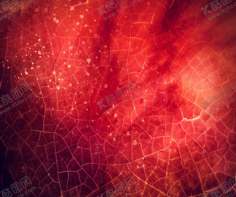 编号：66324809162012551852【酷图网】源文件下载-红色背景