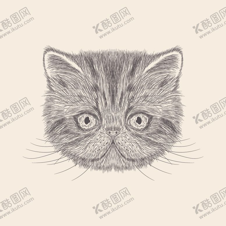 编号：13434706232057448810【酷图网】源文件下载-动物铅笔画
