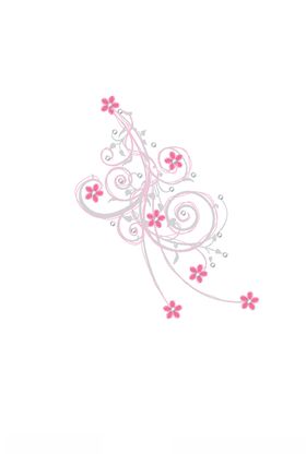 花卉组合