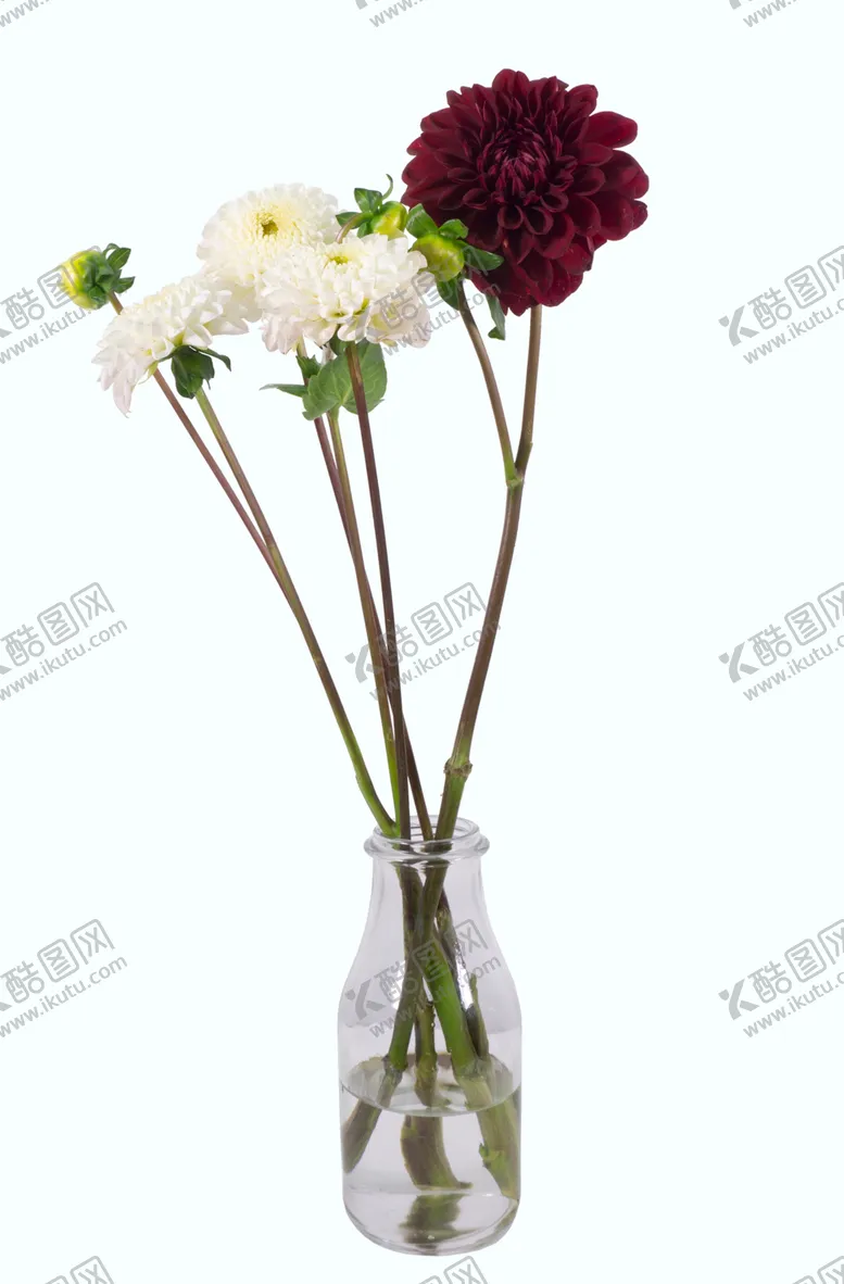 编号：94596501220800525638【酷图网】源文件下载-花素材