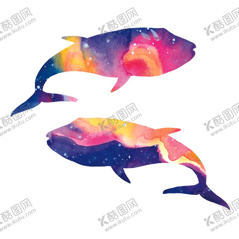 编号：59023610071013355900【酷图网】源文件下载-炫彩渐变鲸鱼图案