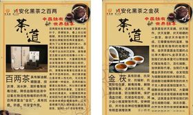 安化黑茶金花