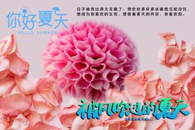 编号：37521809240127012705【酷图网】源文件下载-花语展板