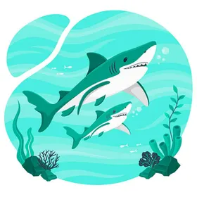 鲨鱼素描卡通动物挂壁
