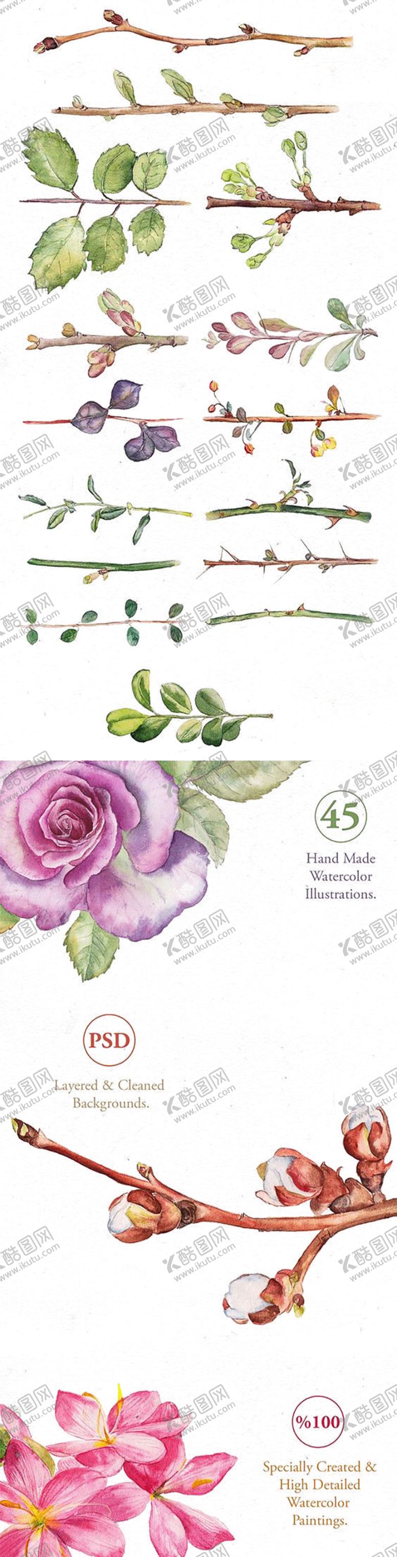 编号：86569210071819111249【酷图网】源文件下载-绿色相框