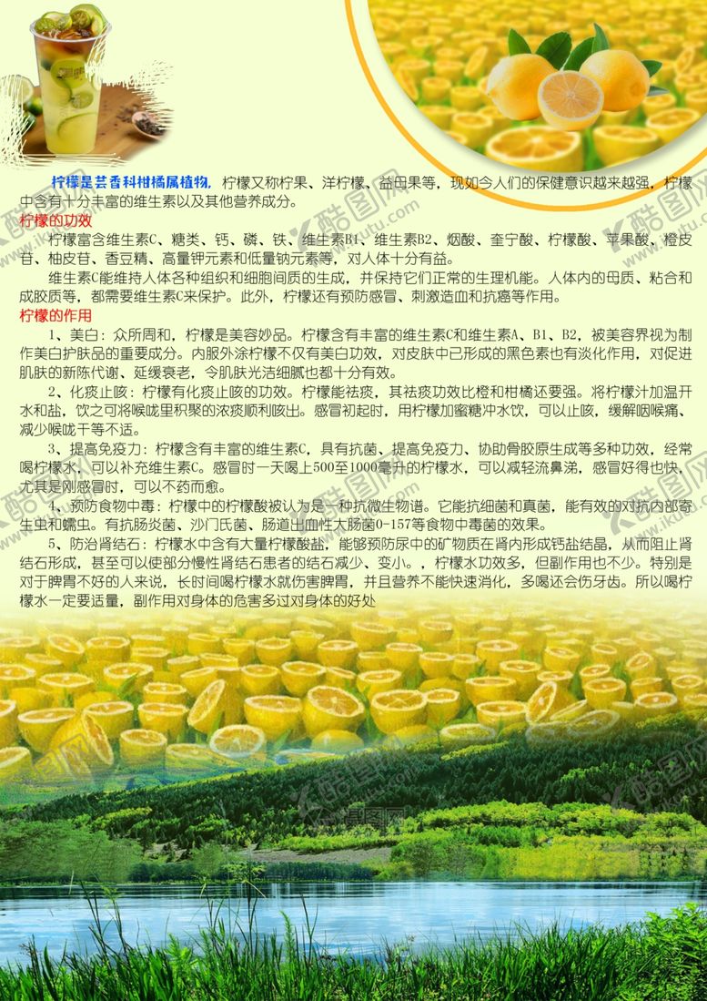 编号：22148110300914476097【酷图网】源文件下载-柠檬宣传单