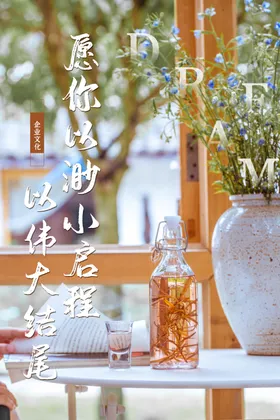 企业励志海报展板鸥哲学语录浪