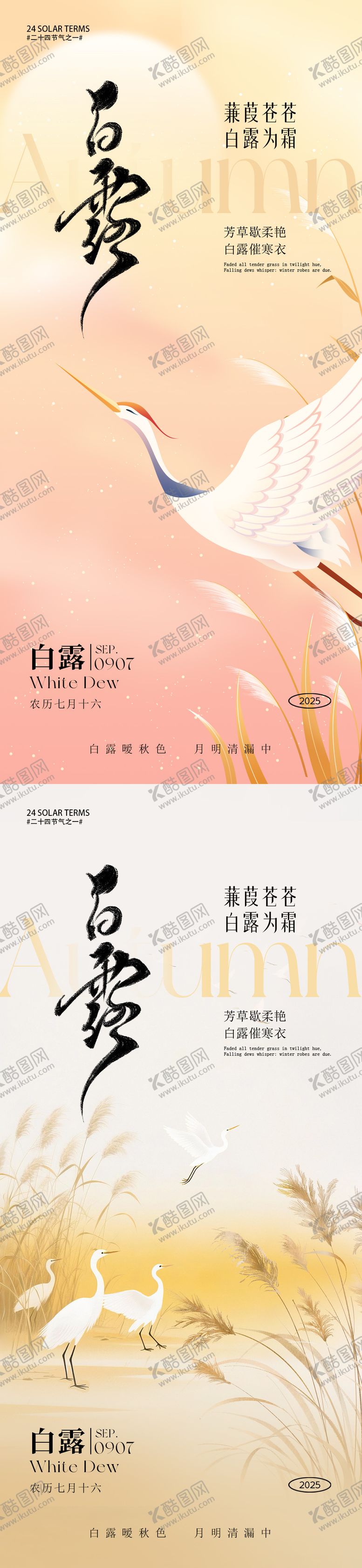 编号：98608609220511407495【酷图网】源文件下载-白露节气海报
