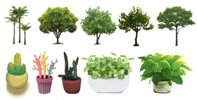 植物