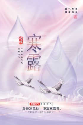 唯美酸性创意寒露节气海报