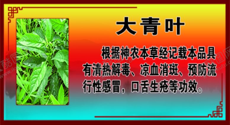 编号：20229409120152007605【酷图网】源文件下载-大青叶