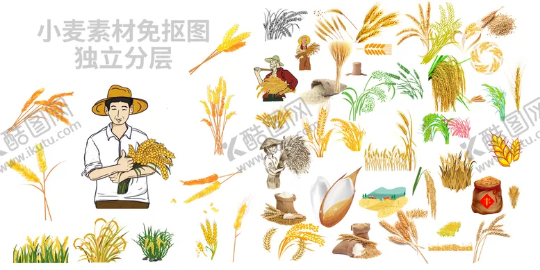 编号：58926409152043521957【酷图网】源文件下载-小麦素材免抠图麦子大麦
