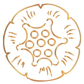 创意金色花纹图案设计