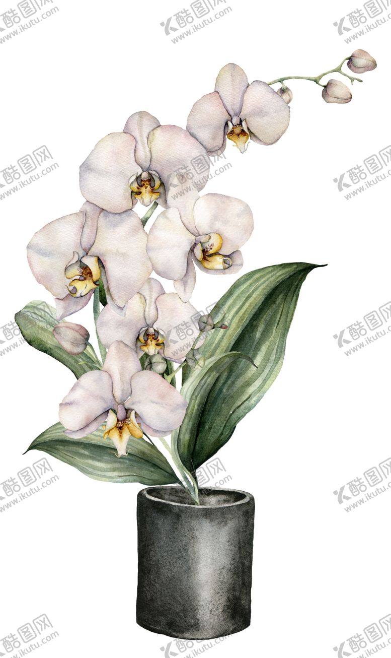 编号：42090809280900442439【酷图网】源文件下载-植物花朵装饰图案