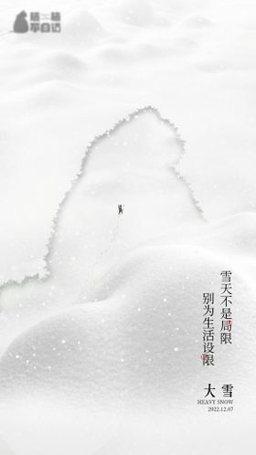 大雪 猫 动物