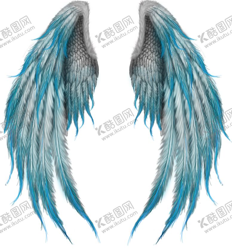 编号：65656210101948082932【酷图网】源文件下载-翅膀